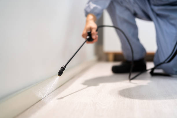 Professional exterminator conducting IPM assessment in Brentwood